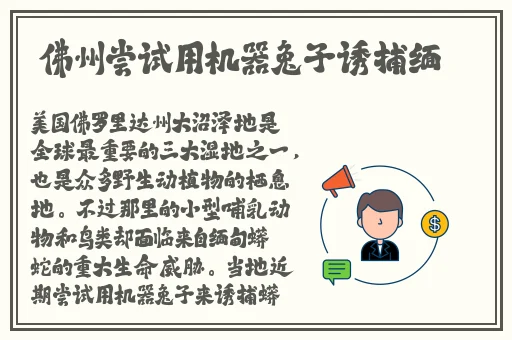 打扑克剧烈摇晃床